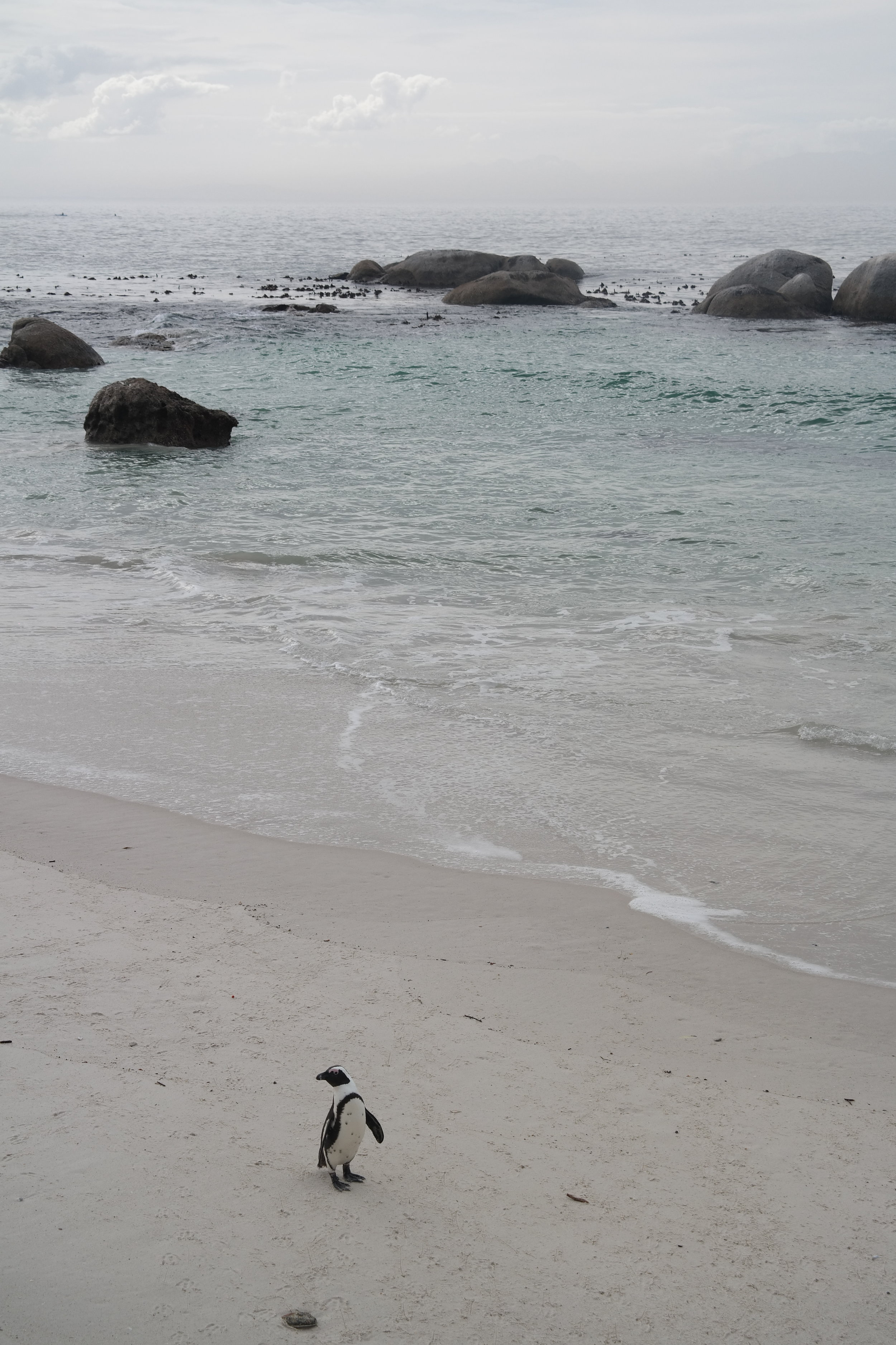 Cape Town, South Africa